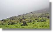 Asturies_023.jpg