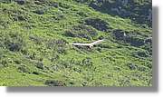 Asturies_036.jpg