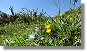 Asturies_041.jpg
