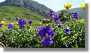 Asturies_044.jpg