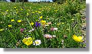 Asturies_045.jpg