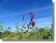 Asturies_200.jpg