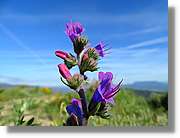 Asturies_201.jpg