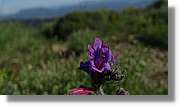 Asturies_202.jpg