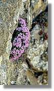 Asturies_214.jpg
