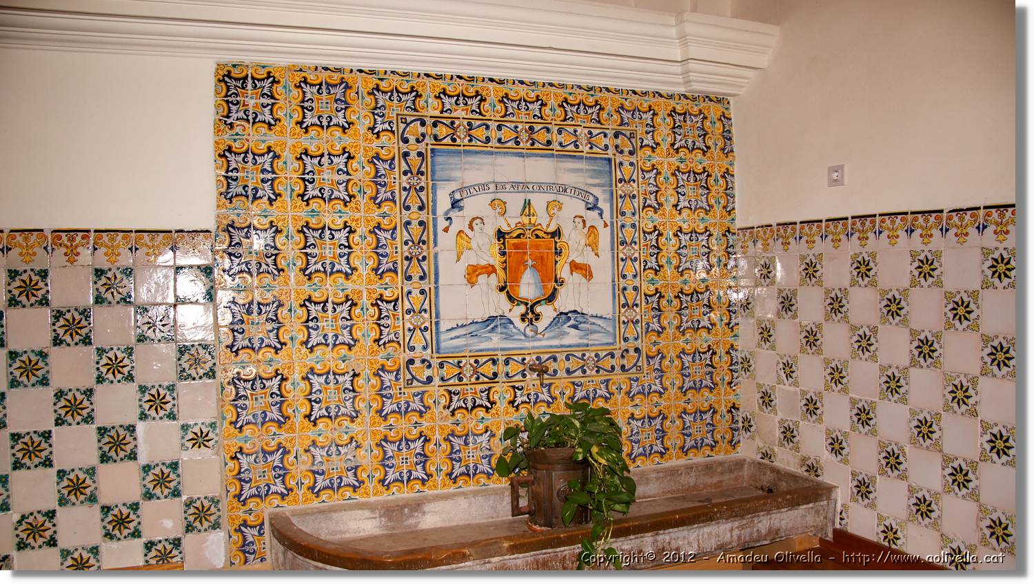 Avellanes_025.jpg