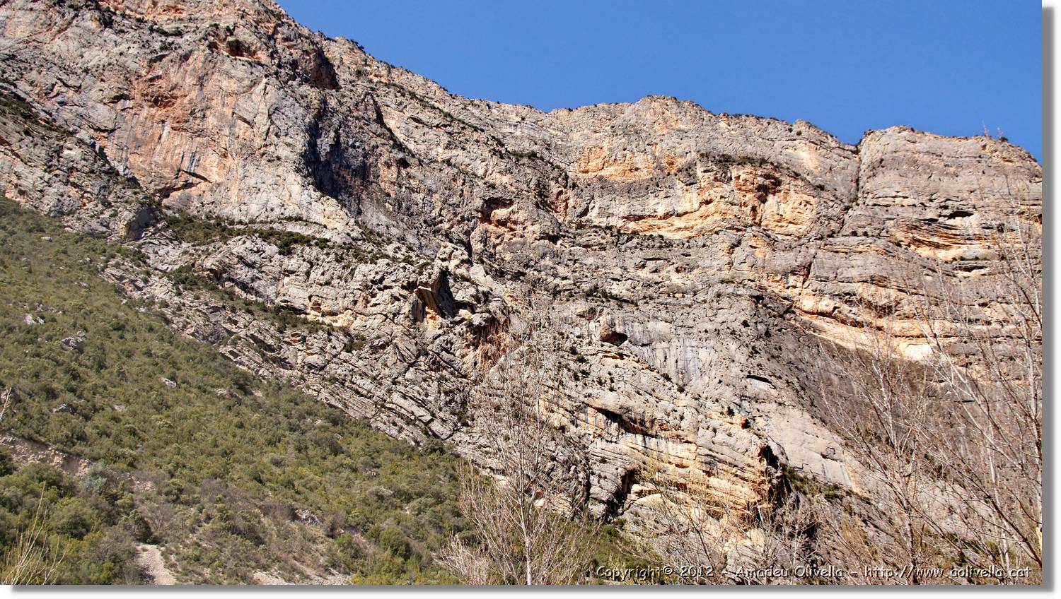 Avellanes_127.jpg
