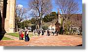 Avellanes_010.jpg