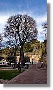 Avellanes_028.jpg