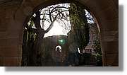 Avellanes_029.jpg