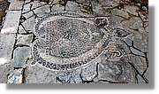Avellanes_034.jpg