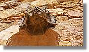 Avellanes_123.jpg