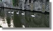 Bruges_007.jpg