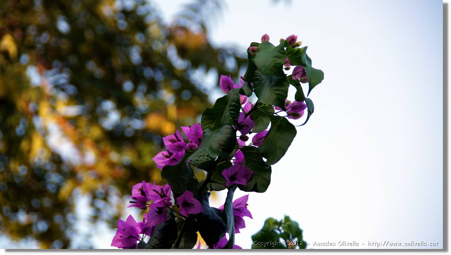 Croacia_2_094.jpg