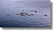 Croacia_2_314.jpg
