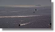 Croacia_2_317.jpg