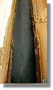 Corint_007.jpg