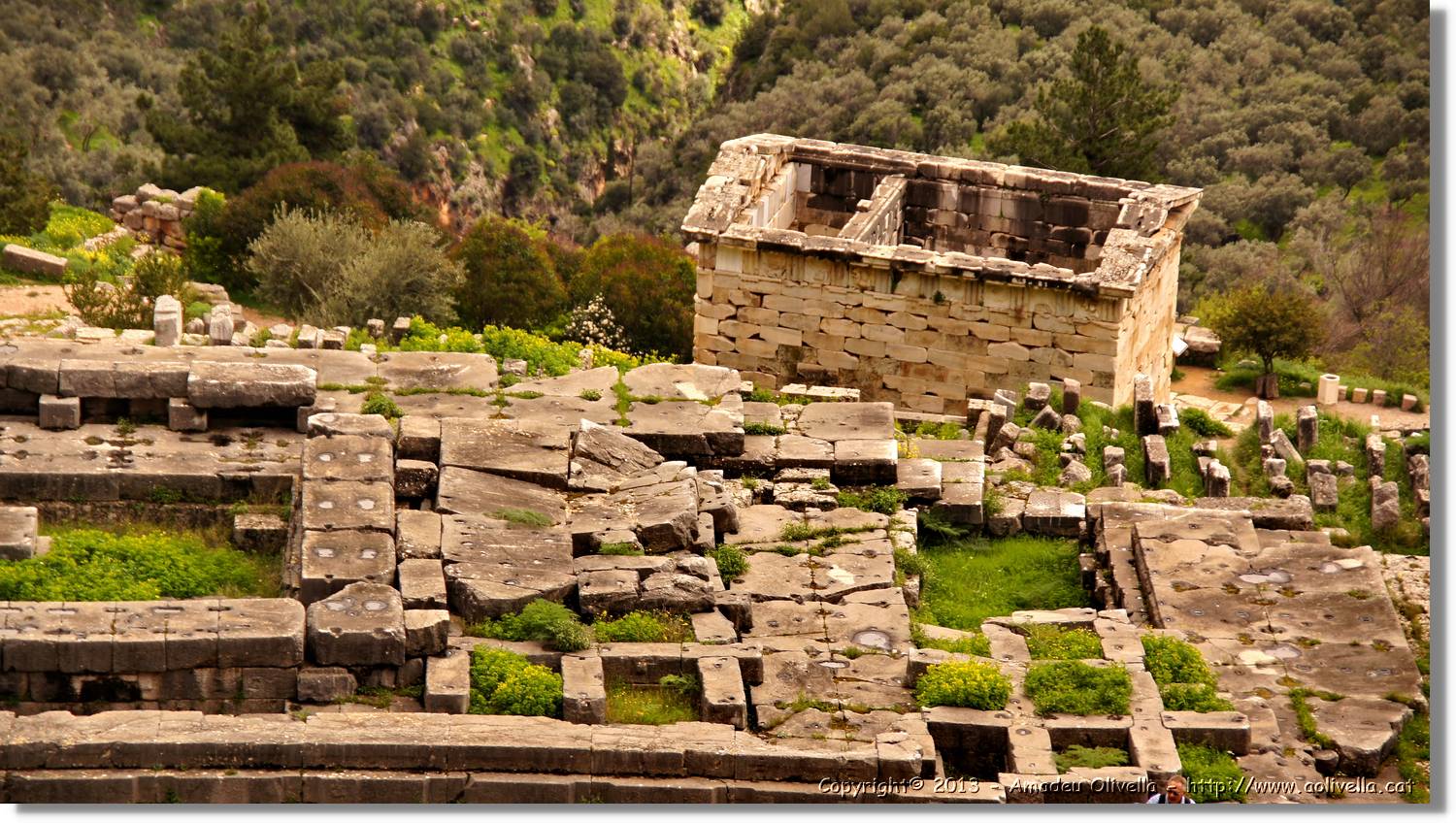 Delfos_097.jpg