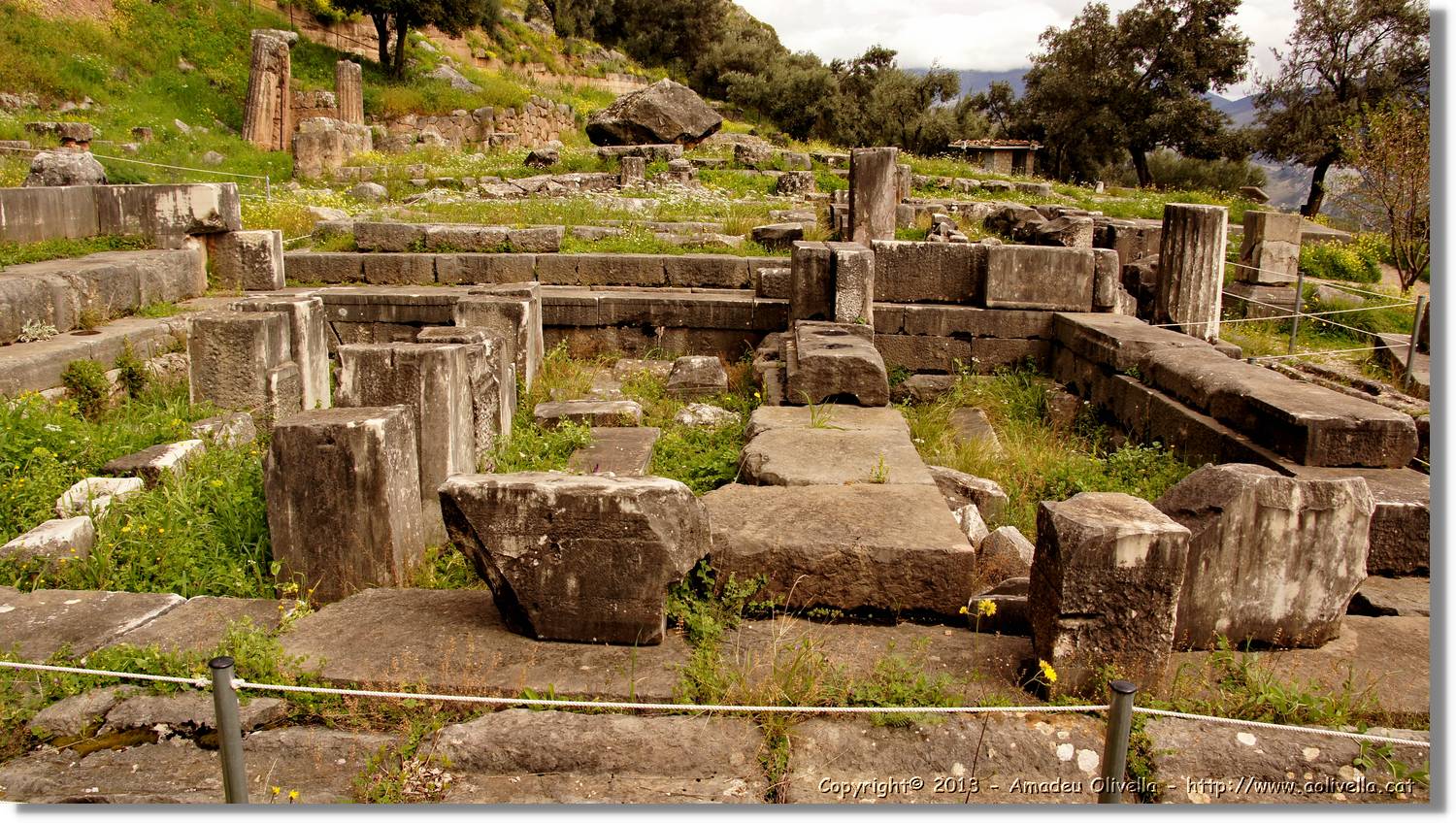 Delfos_130.jpg