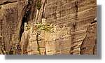 Meteora_427.jpg