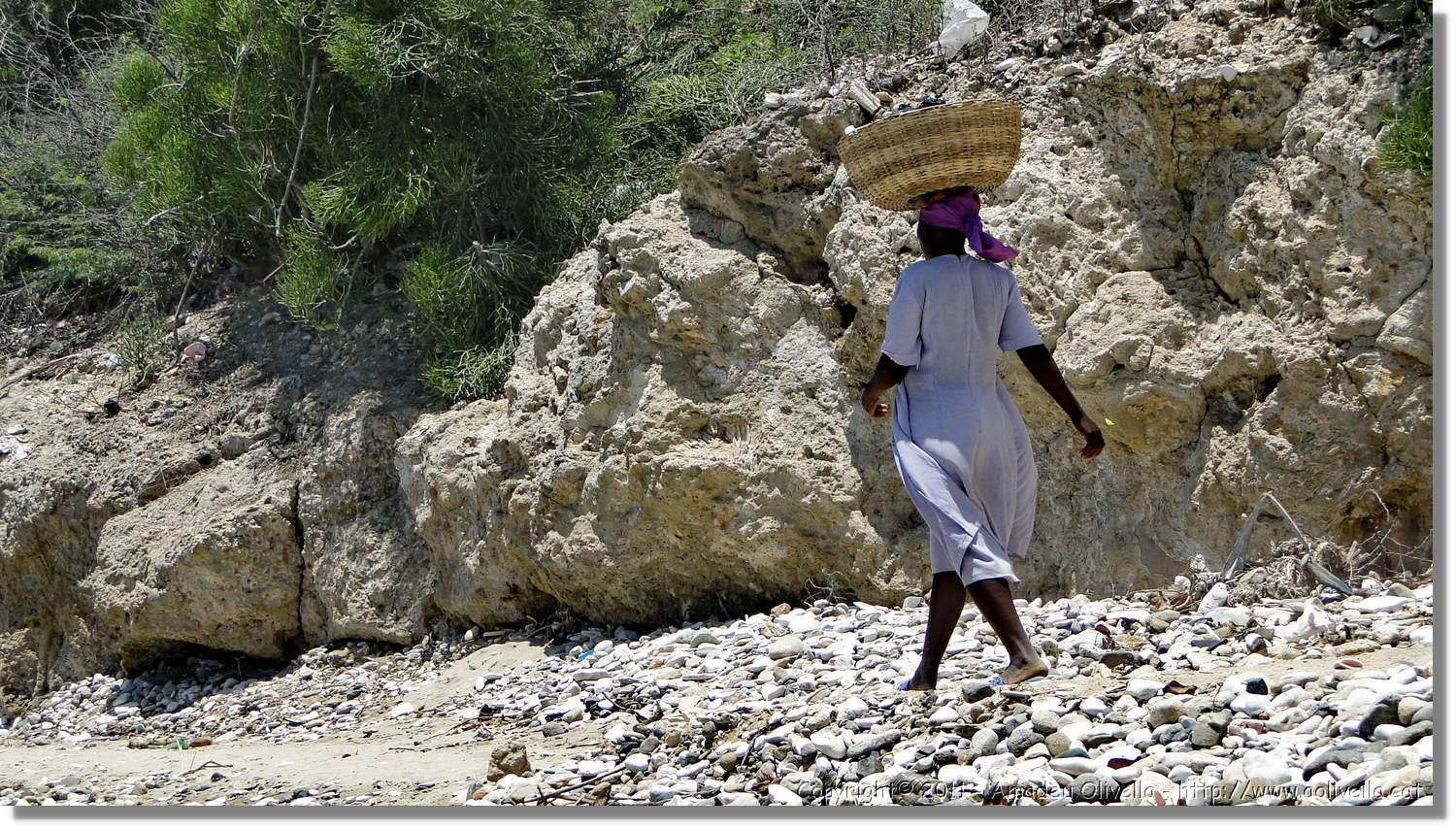 Haiti_738.jpg