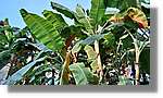 Haiti_H_032.jpg