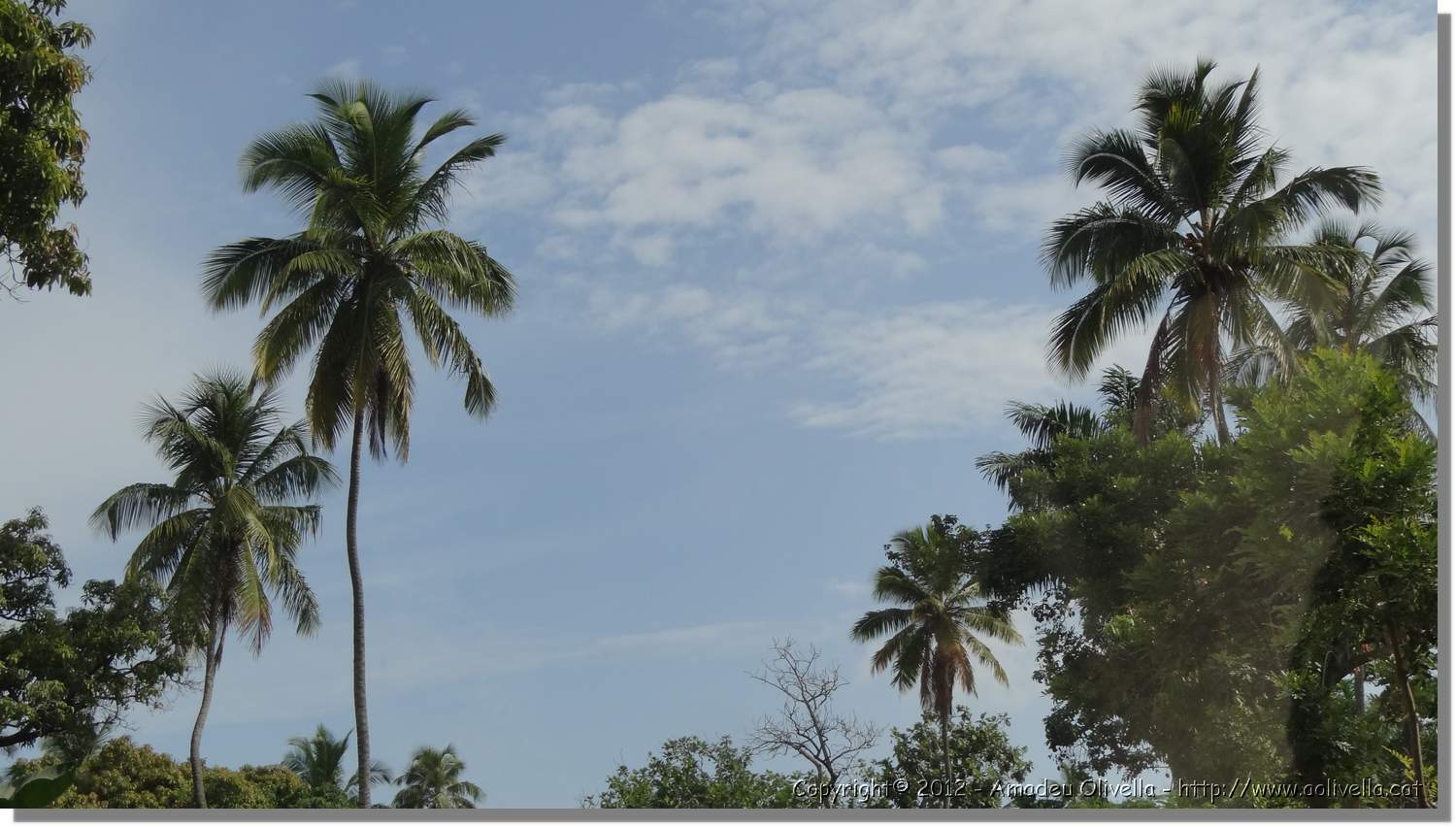 Haiti_JR_019.jpg