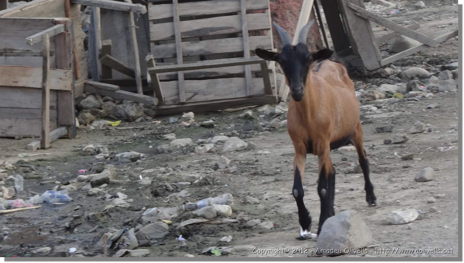 Haiti_JR_105.jpg