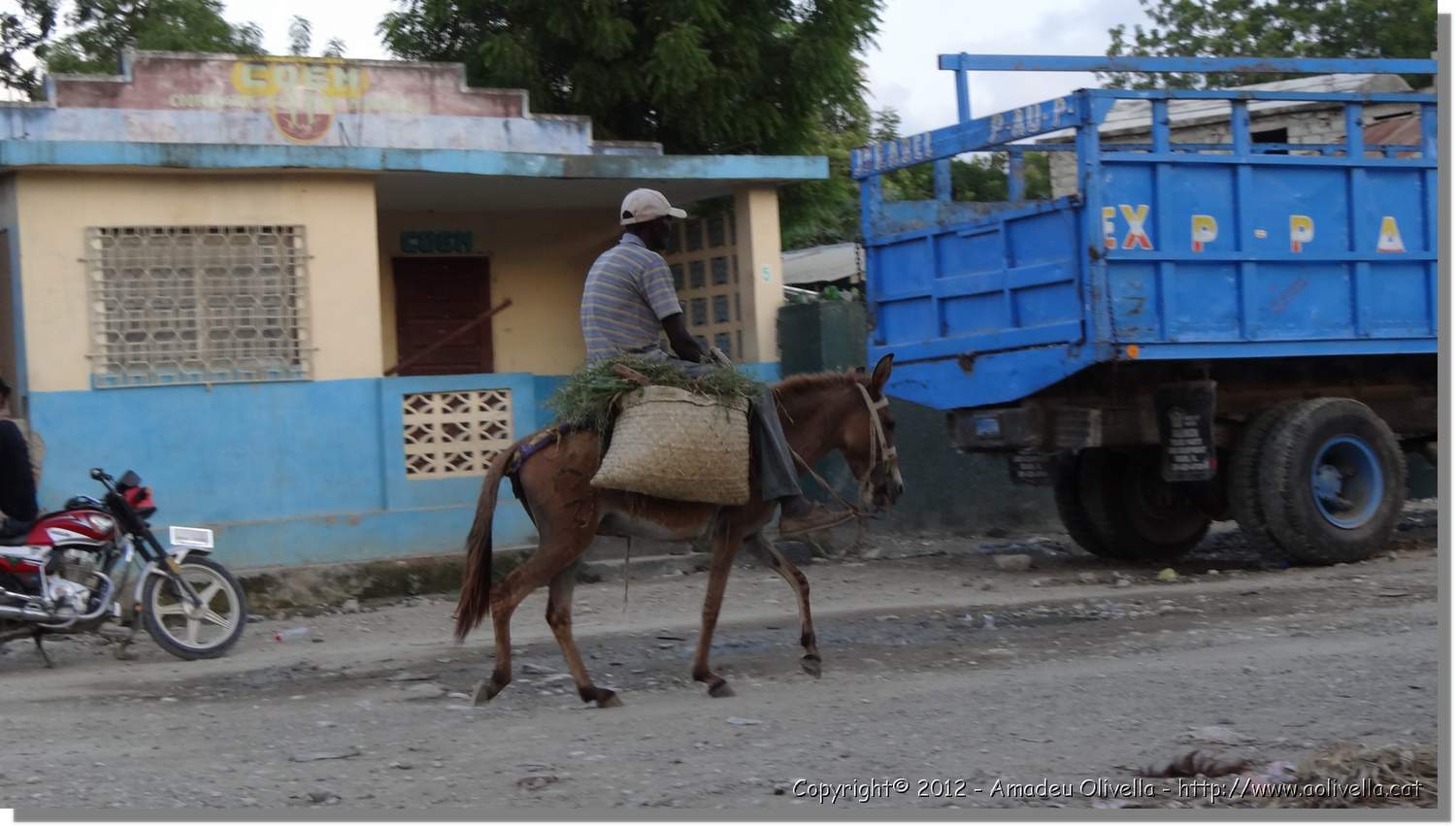 Haiti_JR_134.jpg