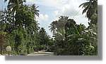 Haiti_JR_018.jpg