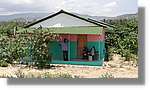 Haiti_JR_025.jpg