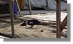 Haiti_JR_042.jpg