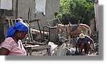 Haiti_JR_045.jpg