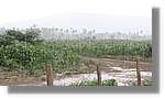 Haiti_JR_083.jpg