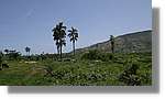 Haiti_JR_256.jpg
