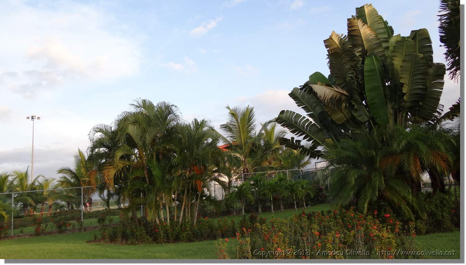 Haiti_035.jpg
