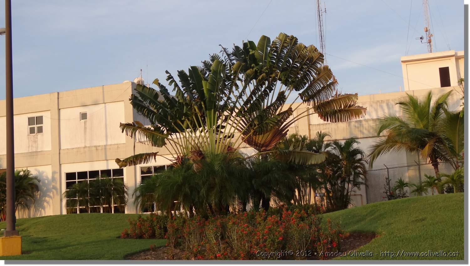 Haiti_036.jpg