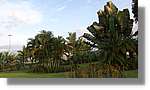 Haiti_035.jpg