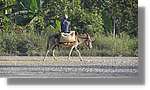 Haiti_251.jpg