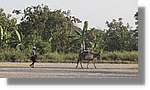 Haiti_254.jpg