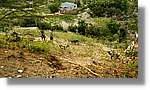 Haiti_JR_113.jpg