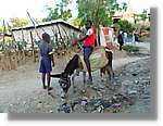 Haiti_049.jpg