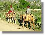 Haiti_137.jpg