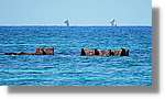 Platja_039.jpg