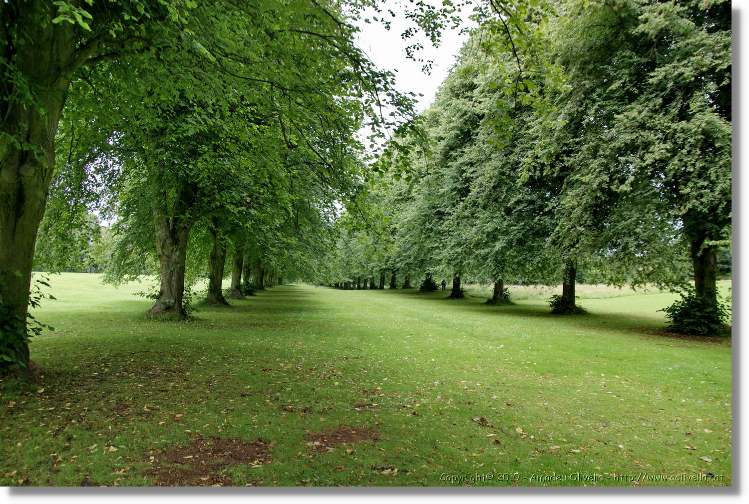 Belfast_029.jpg