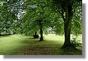 Belfast_031.jpg