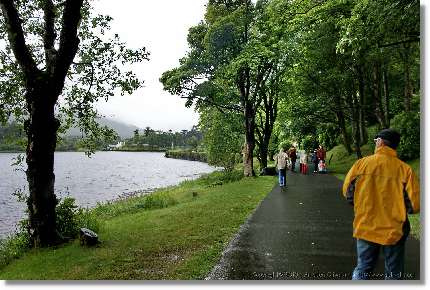 Galway_095.jpg