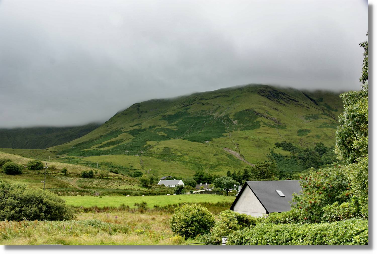 Galway_131.jpg