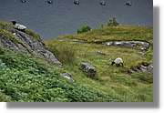 Galway_062.jpg