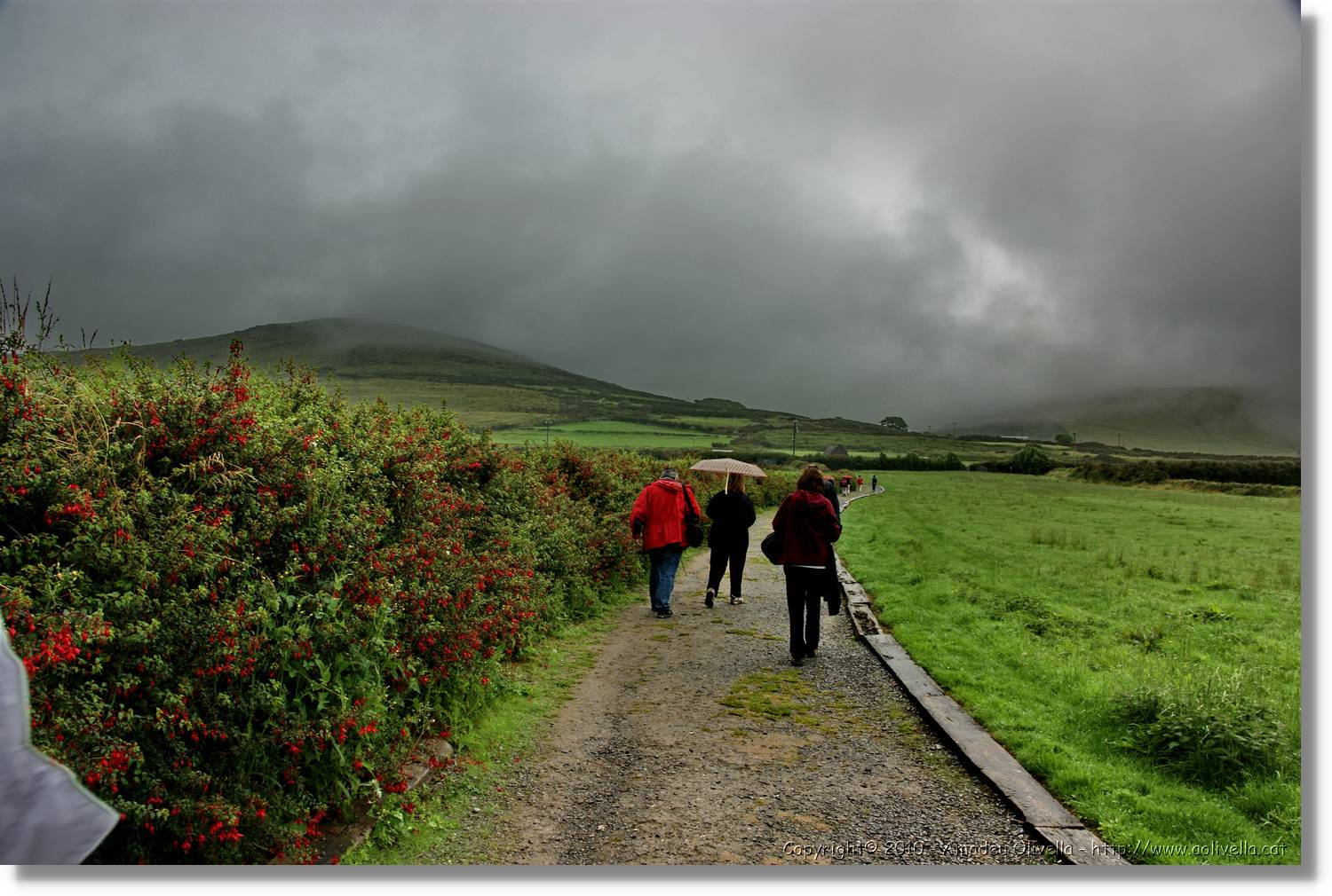 Kerry_086.jpg